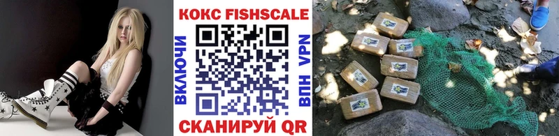 KRAKEN   Великий Устюг  Кокаин Fish Scale 