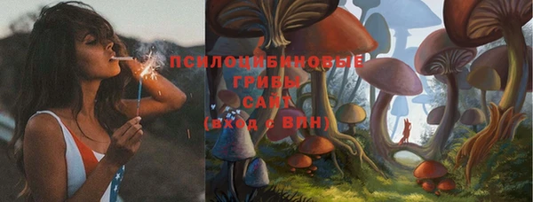 крисы Приозерск