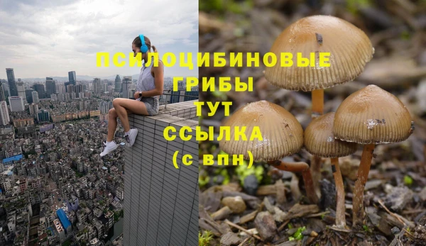 MDMA Premium VHQ Фёдоровский