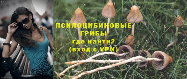каннабис Пролетарск