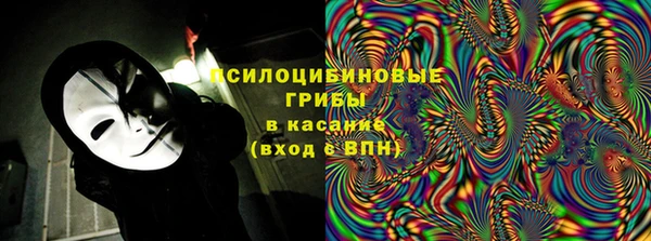 крисы Приозерск