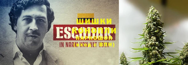 крисы Приозерск