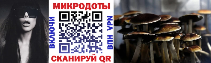 Псилоцибиновые грибы Cubensis  Великий Устюг 