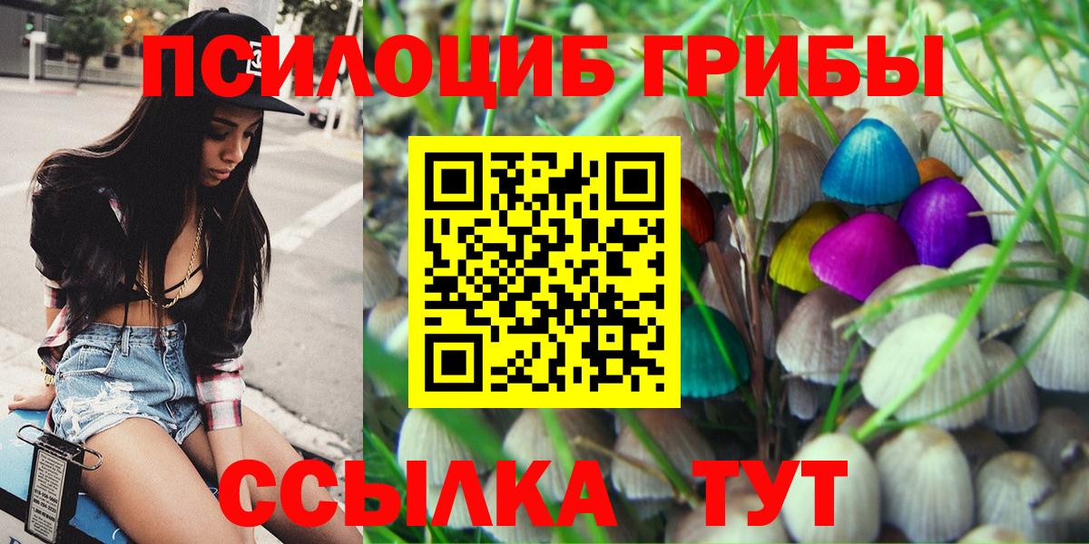 Псилоцибиновые грибы Psilocybine cubensis  Псилоцибиновые грибы Magic Shrooms  Великий Устюг 