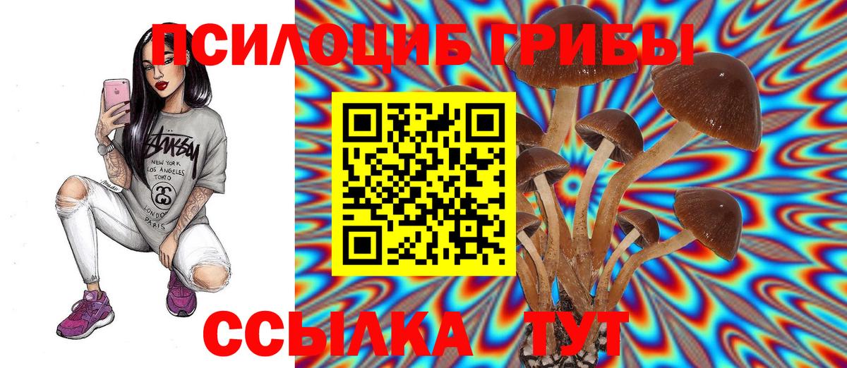 Галлюциногенные грибы MAGIC MUSHROOMS Великий Устюг