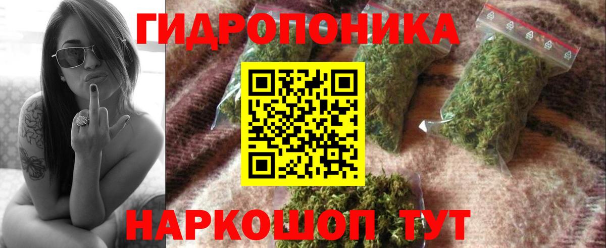 Конопля Ganja  Конопля семена  Бошки марихуана индика  Великий Устюг  МАРИХУАНА план 